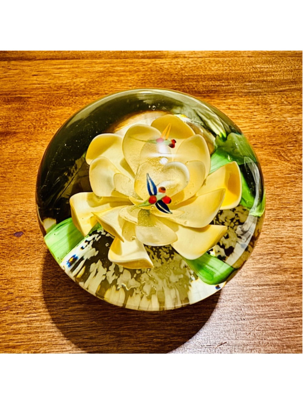 14. Vintage Plumeria Flower, also known as Frangipani Paperweight Collectable
